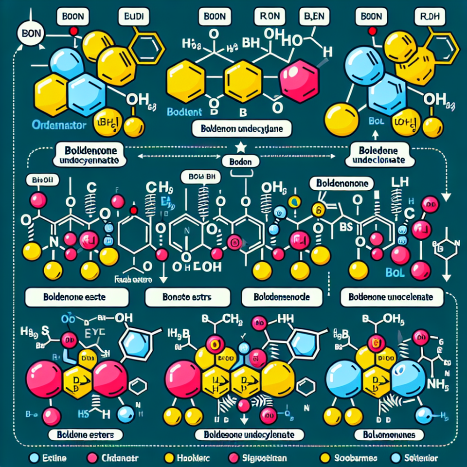 Formules de Boldénone : Boldénone Undecylenate et autres esters - quelle est la différence ?